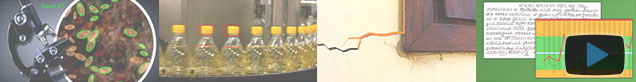 Automatically Analyze Visual Information with Custom Image Processing Software
